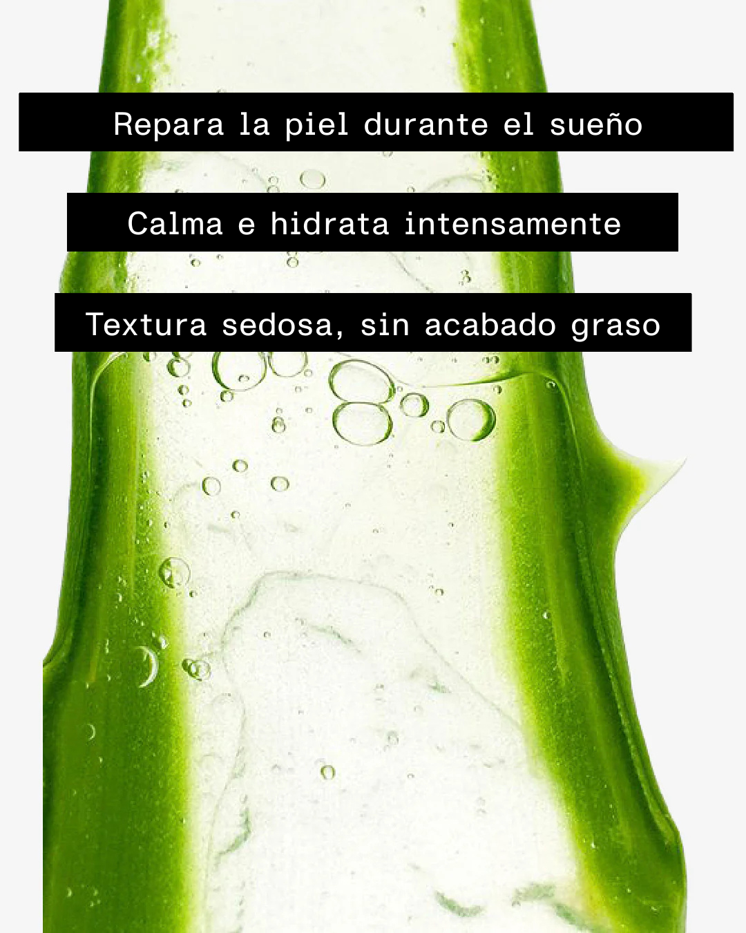 006 - Gel-Crema de Noche
