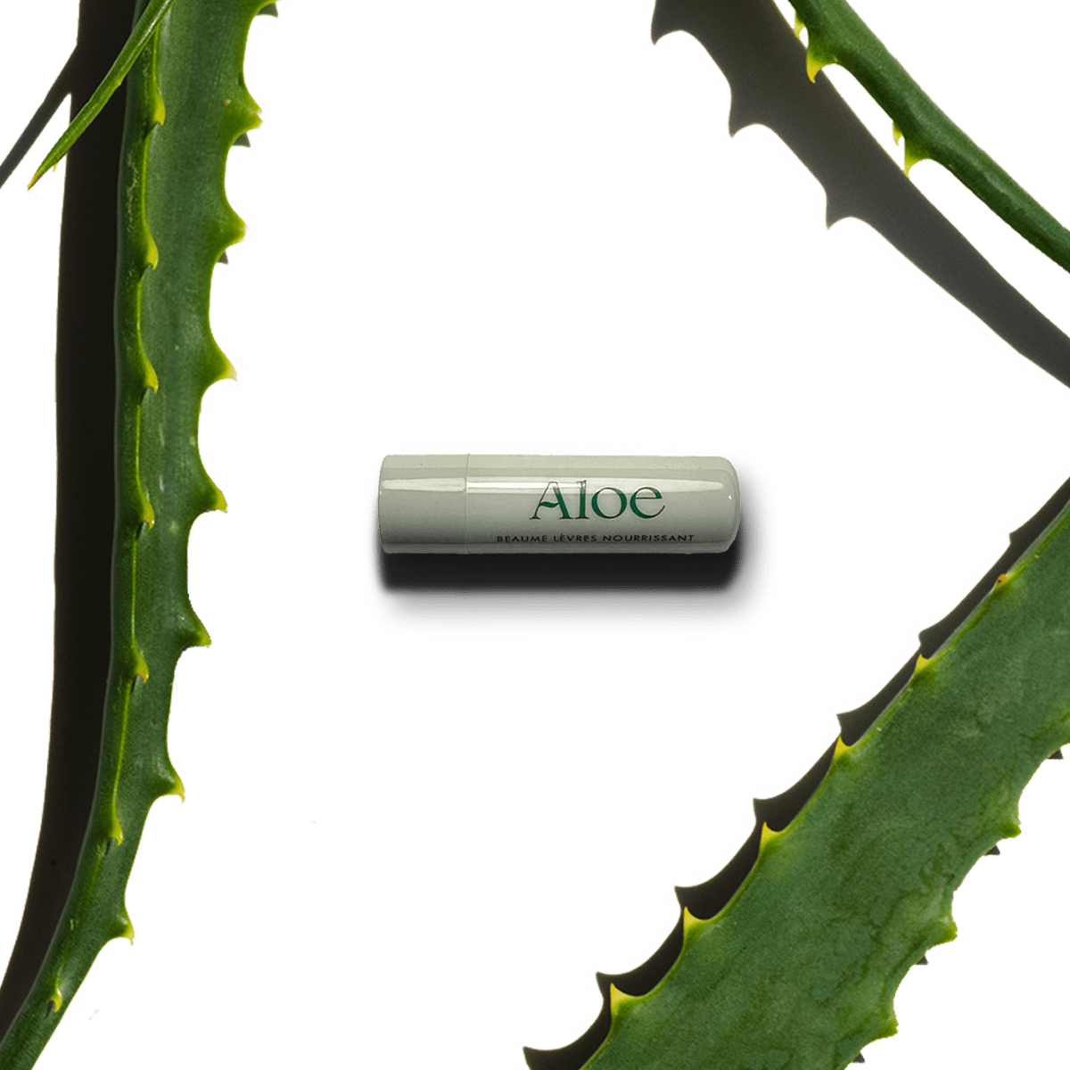Bálsamo labial nutritivo con aloe vera